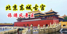 能免费看女生逼逼的视频中国北京-东城古宫旅游风景区